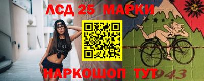 стаф Донецк