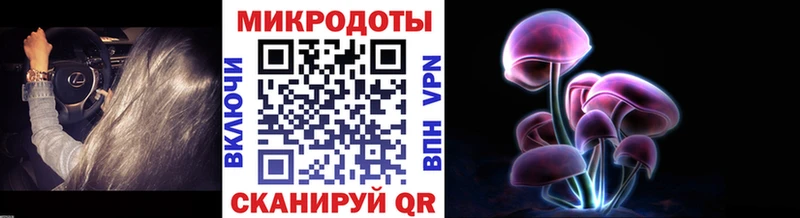 Галлюциногенные грибы Psilocybe blacksprut ТОР Мытищи дарнет шоп
