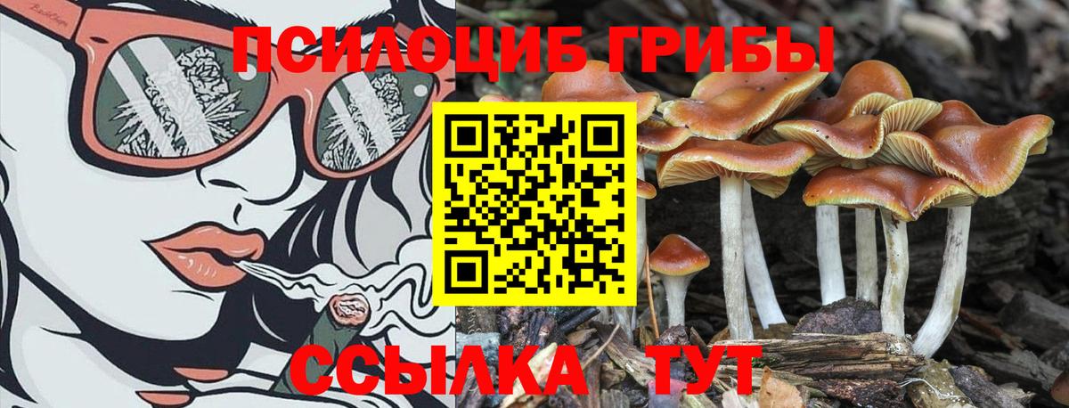 Галлюциногенные грибы прущие грибы Мытищи