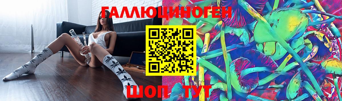 как найти наркотики  Псилоцибиновые грибы прущие грибы  Вход с VPN  Мытищи 