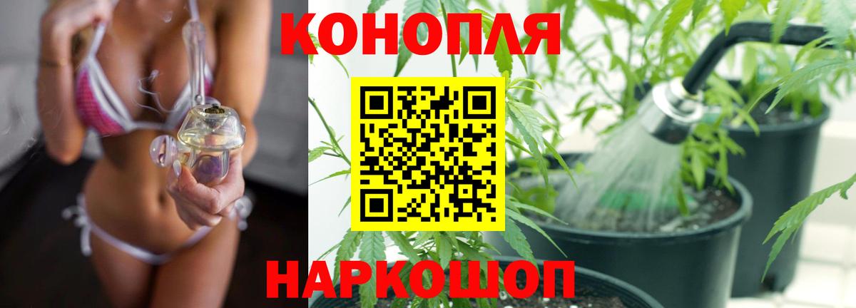 Конопля MAZAR Мытищи